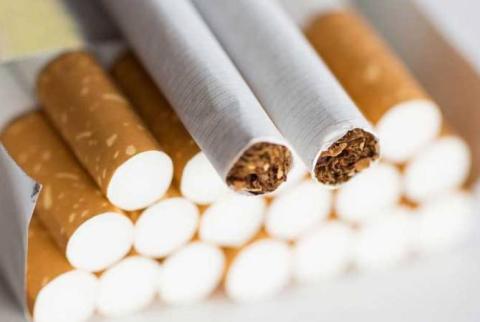 Իշխանաձորում մեկնարկում է ծխախոտագործության ծրագիրը. կբացվի շուրջ 100 նոր աշխատատեղ