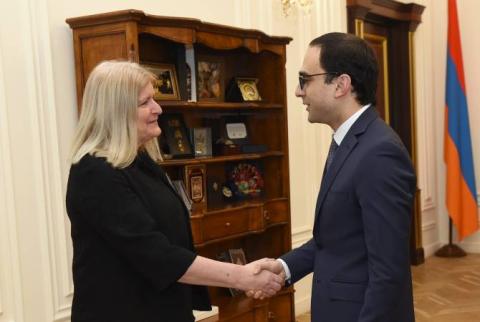 Armenian deputy PM holds meeting with UK Ambassador