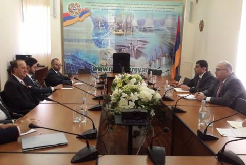 Գարեգին Բաղրամյանը սփյուռքահայ գործարարների  հետ քննարկվել է էներգետիկայի  բնագավառում ներդրումային  հնարավորությունները 