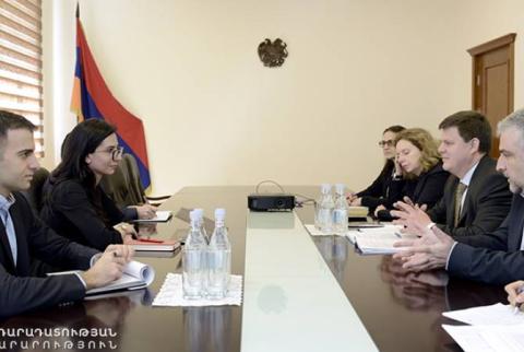 Աննա Վարդապետյանն ընդունել է ԵԽ Մարդու իրավունքների քաղաքականության և համագործակցության բաժնի ղեկավարի գլխավորած պատվիրակությանը 