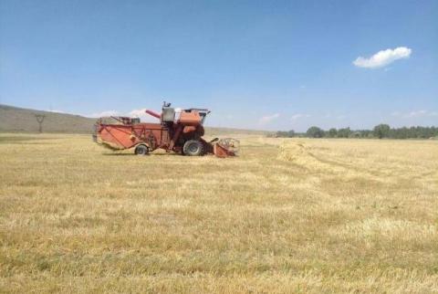 Сбор урожая зерна начался со скромных результатов
