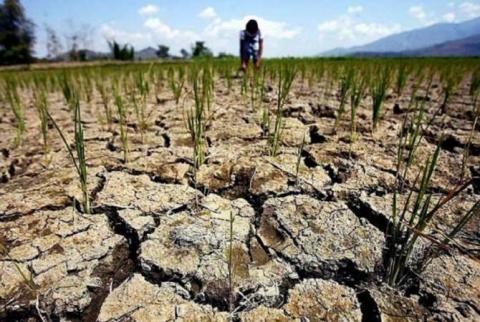 ЕС досрочно выплатит Франции €1 млрд сельхоздотаций из-за засухи