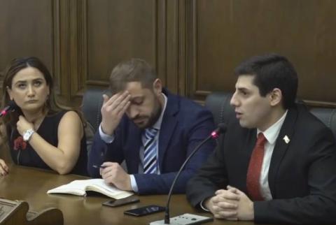 «Իմ քայլ»-ի պատգամավորները ԼՀԿ-ի նախագծից հետո Վանեցյանի հրաժարականը համարում են զուգադիպություն