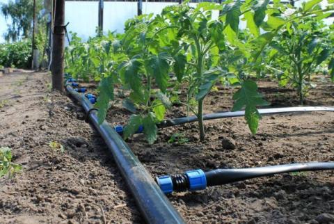 Գործադիրը մաքսային արտոնություն տրամադրեց կաթիլային ոռոգման համակարգերի արտադրությամբ զբաղվող ՓԲԸ-ի