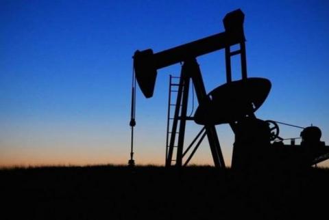 В Грузии объявлен международный тендер на добычу нефти