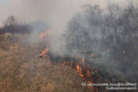 Пожарные-спасатели потушили пожары на травяных участках общей площадью около 544 га