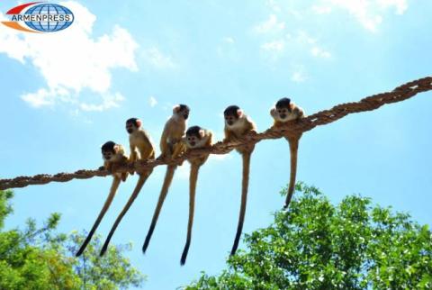 Yerevan Zoo closed for visitors until March 23 