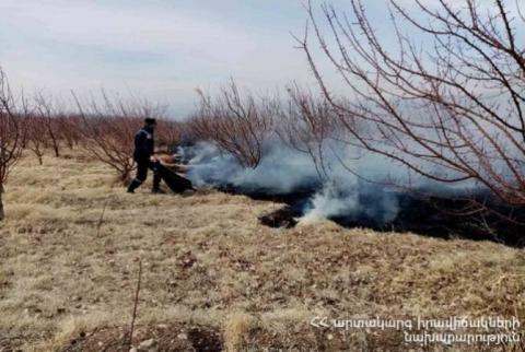 Спасатели потушили пожары  на травяных участках общей площадью около 6 га