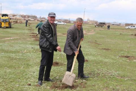 Վարդենիս քաղաքում հիմնվում է նոր զբոսայգի