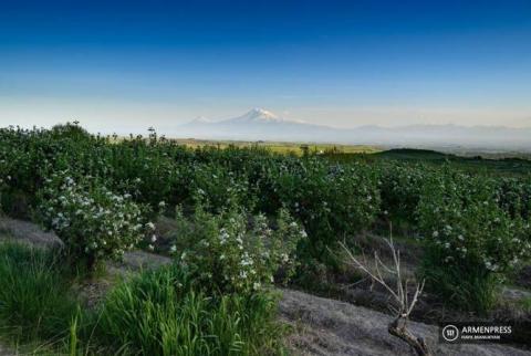 Հողի վաճառքի մեկնարկային գնի ստորին շեմը բարձրացնելու նախագիծը հավանություն ստացավ