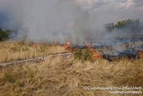 Пожарные-спасатели потушили пожары на травяных участках