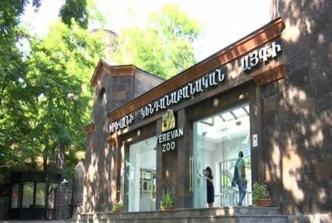 ИООПН  не  выявил нарушений  в  ереванском административном округе  Нор Норк