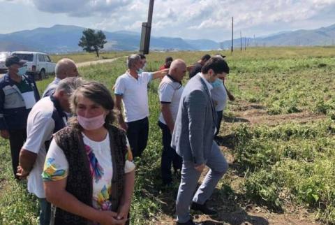 В Раздане в результате града пострадали 65 хозяйств: размер ущерба будет представлен правительству