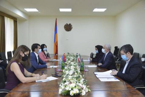 Հակոբ Արշակյանը հանդիպում է ունեցել Հայաստանում Իրանի նորանշանակ դեսպանի հետ