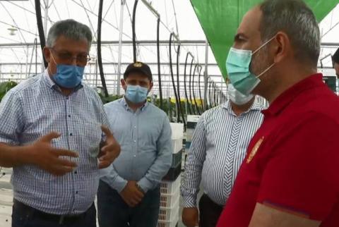 PM Pashinyan tours Kotayk Province, visits greenhouse business 