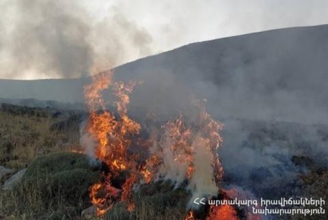 Пожарные-спасатели потушили пожары, на разных участках, в общей сложности на 6,5 га