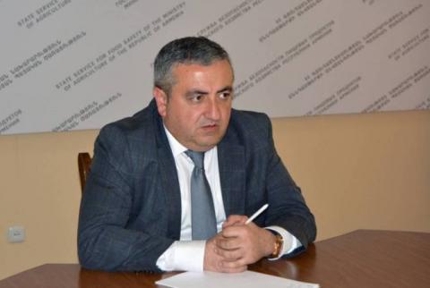 Գեորգի Ավետիսյանը նշանակվել է սննդամթերքի անվտանգության տեսչական մարմնի ղեկավար