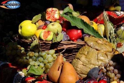 Հայաստանում գյուղատնտեսական արտադրության աճը կազմել է 1,5 տոկոս