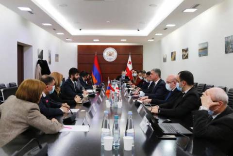 Հայաստանն ու Վրաստանը քննարկում են գյուղոլորտում համագործակցության հեռանկարները
