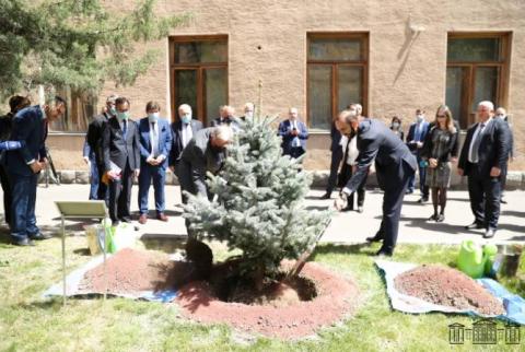 Mirzoyan et Larcher ont planté un sapin à feuilles persistantes en signe d'amitié arméno-française