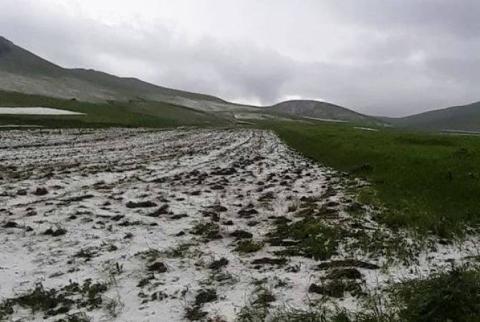 Կարկուտը վնասներ է հասցրել սահմանամերձ Վահան գյուղի տնտեսություններին 