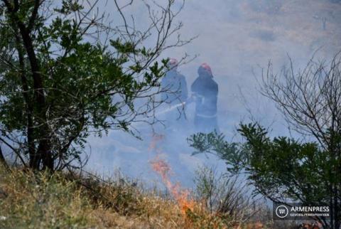 В лесопарке «Джрвеж»  вспыхнул  пожар.  Объявлена  сложность №2