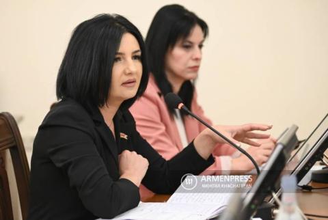 Արցախի ԱԺ պատգամավորի կարծիքով տեղահանված անձանց համար իրականացված սոցիալական ծրագրերը հասցեական չեն