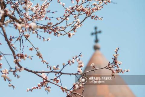 Температура воздуха постепенно повысится на 8-9 градусов 