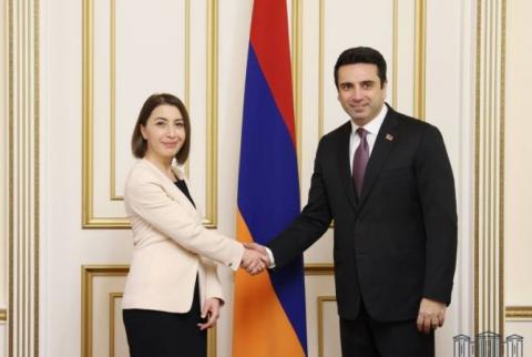 Alen Simonyan a reçu la Défenseuse des droits de l’homme
