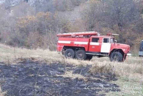 Спасатели потушили пожары на территории общей площадью около 14,9 га