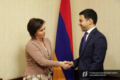 Ermenistan Devlet Gelirler Komitesi Başkanı ve Litvanya Büyükelçisi işbirliği hakkında görüştü