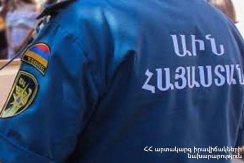 Փրկարարները ծառը հեռացրել են Զովունի գյուղի գազատար խողովակի վրայից