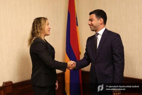 Председатель КГД Армении принял регионального руководителя Управления по борьбе с наркотиками Минюста США
