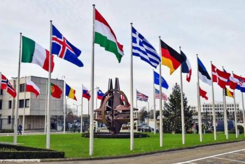 Штаб-квартира НАТО в Брюсселе занялась производством меда