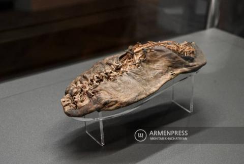 El Museo de Historia reabre la exposición permanente “Tras las huellas del hombre antiguo: la Edad de Piedra”