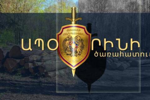 Սպիտակի ոստիկանները ապօրինի ծառահատման դեպք են բացահայտել