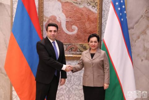 El presidente de la Asamblea Nacional de la República de Armenia se reunió con su par de Uzbekistán