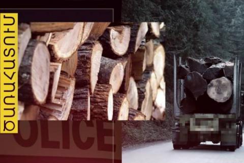 Հրազդանի ոստիկանները Հանքավանի անտառից ապօրինի ծառահատման դեպք են բացահայտել