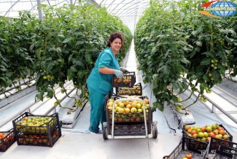 El volumen de la producción agrícola de Armenia aumentó un 13 % en 2021 en comparación con 2020