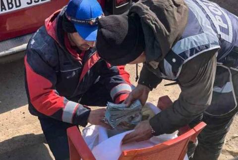 Российские спасатели нашли 150 тысяч долларов под завалами дома в Турции