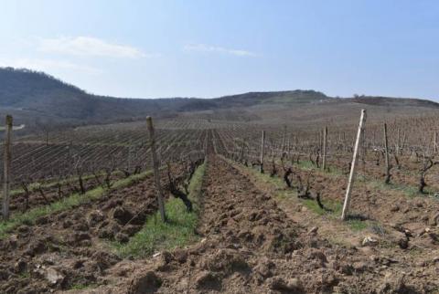 Azerbaijani military opens fire at farmers in Nagorno Karabakh 