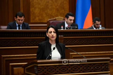 ՀՀ-ում պետք է բացառված լինի բռնությունը, բռնության քարոզը. ՄԻՊ թեկնածուն անդրադարձավ ԱԺ նախագահի մասնակցությամբ միջադեպին
