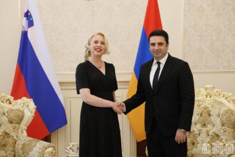 Slovenia expects Armenia’s support in bid for non-permanent seat on UN Security Council