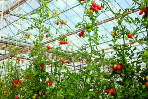 Armenian-Spanish agro-industry forum to take place in Yerevan