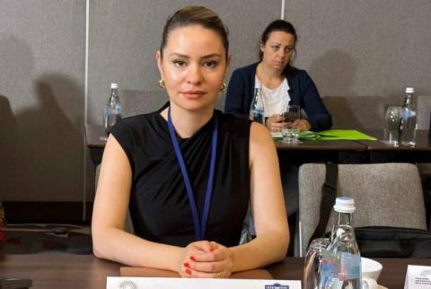 Armenia commends efforts of Western partners for establishing peace in the South Caucasus. MP
