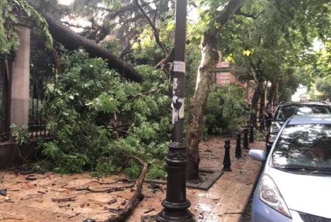 Все о наводнении в Тбилиси – что произошло в столице Грузии?