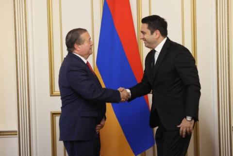 Ալեն Սիմոնյանը Միջազգային հանրապետական ինստիտուտի տնօրենին է ներկայացրել Լաչինի միջանցքի շրջափակման հումանիտար հետևանքները