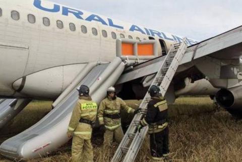 Пассажирский самолет «Уральских авиалиний» совершил экстренную посадку на пшеничном поле