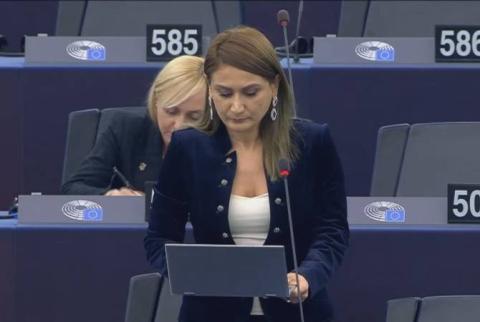 Armenian MP bewildered as Azeri representative reports on xenophobia and authoritarianism after ethnic cleansing in NK