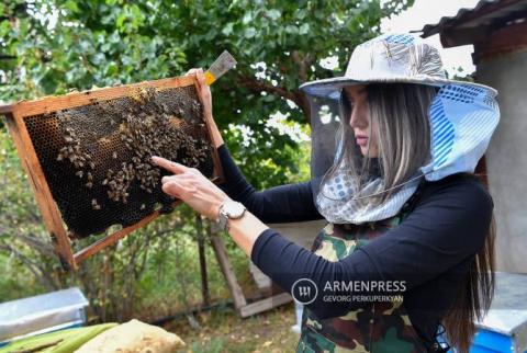 Genç arıcı kız arıların heyecan verici dünyayı keşfetme yolunda